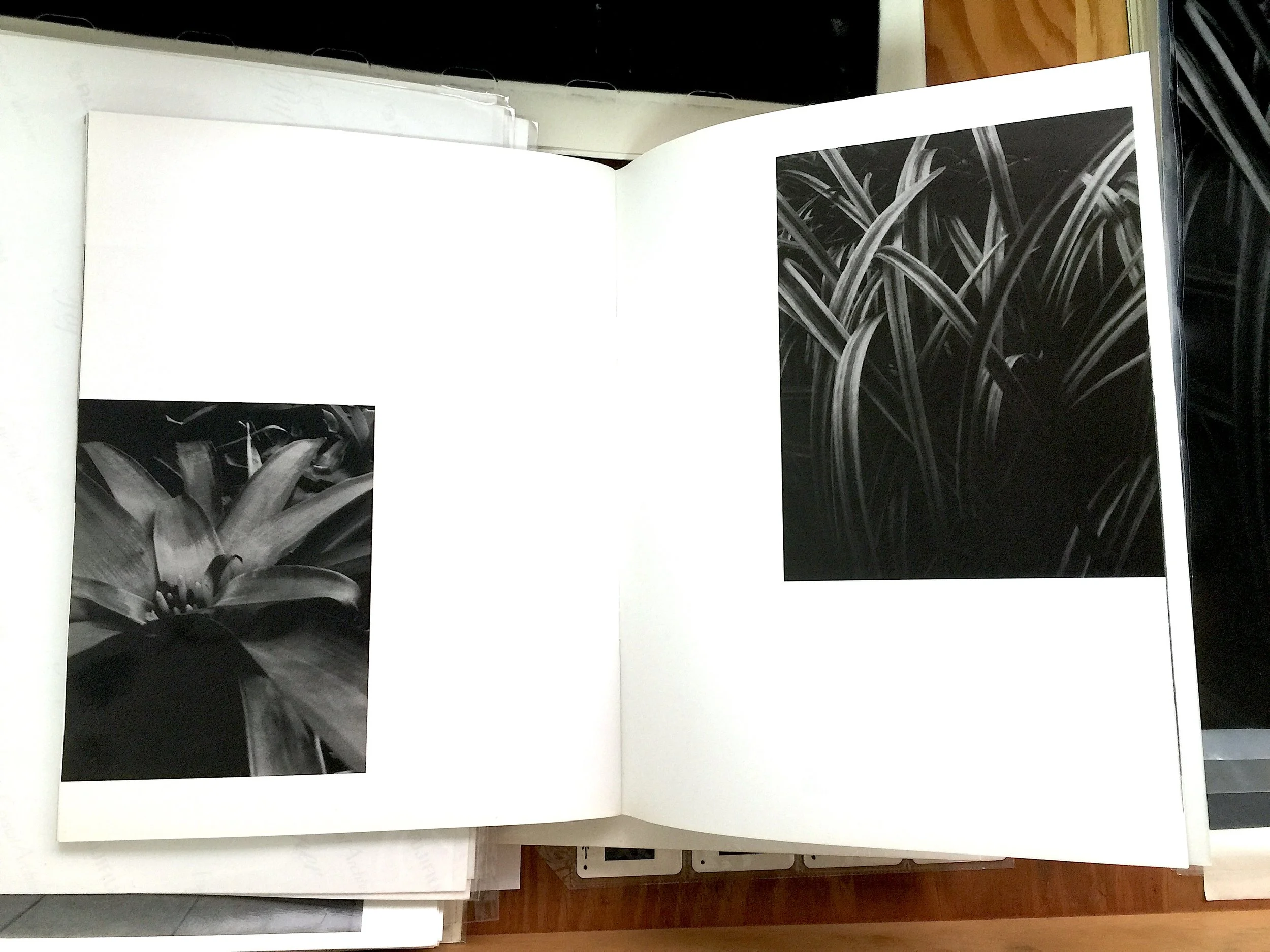 Shabelewska lunaris flora published in THERE magazine.jpeg