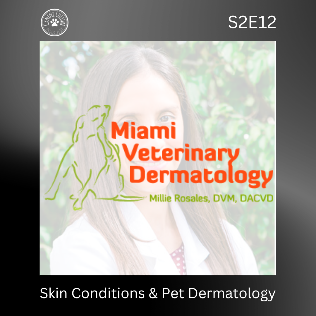 Skin Conditions &amp; Pet Dermatology