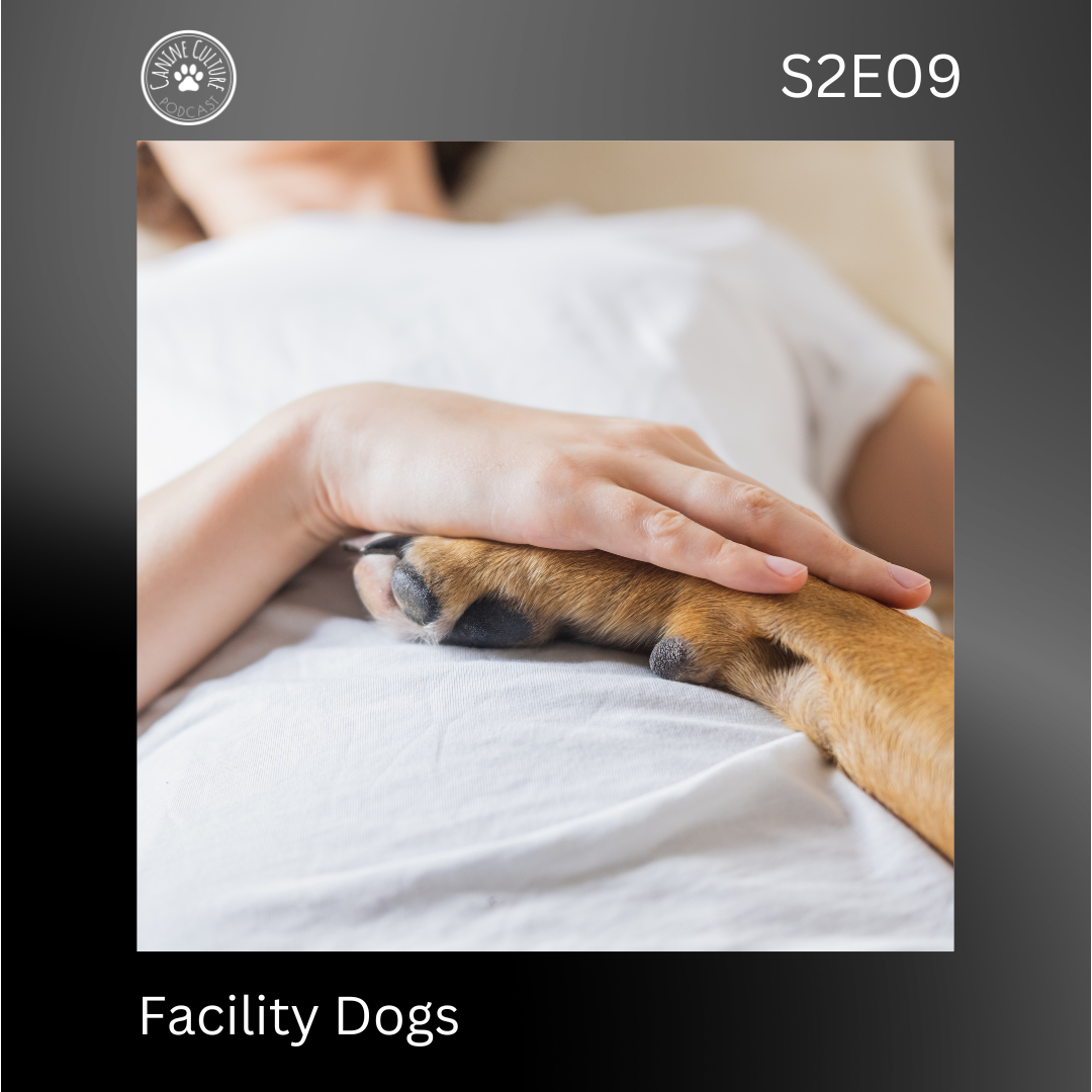 Facility Dogs