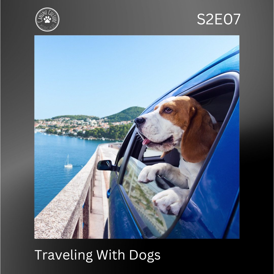Traveling With Dogs
