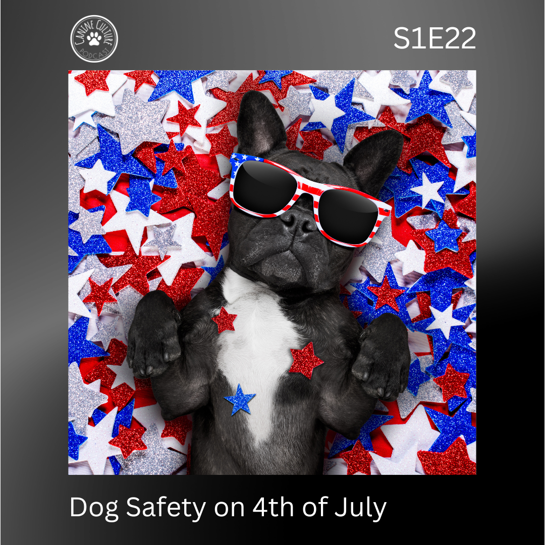 Keeping Your Dog Safe On 4th Of July