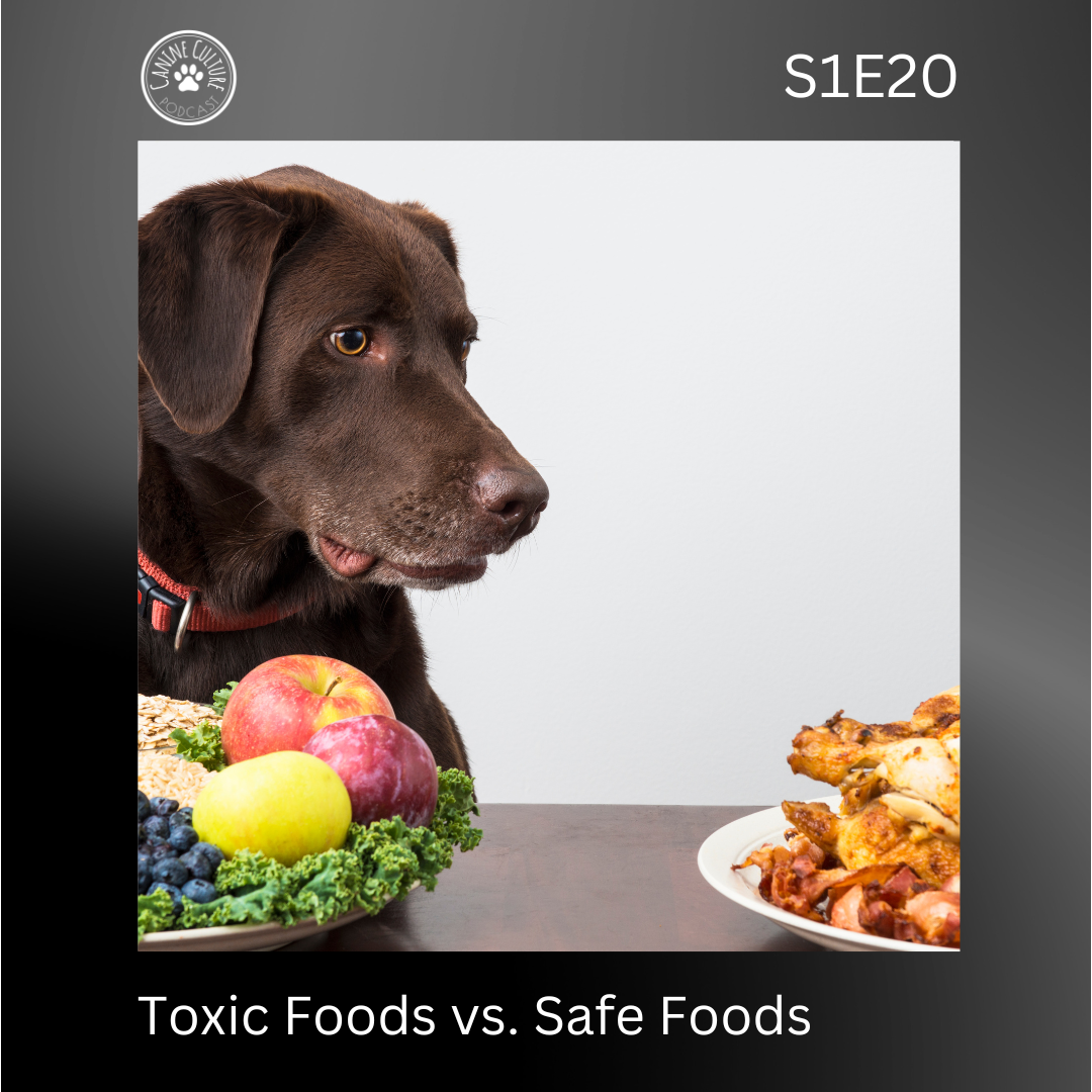 Toxi Foods vs. Safe Foods