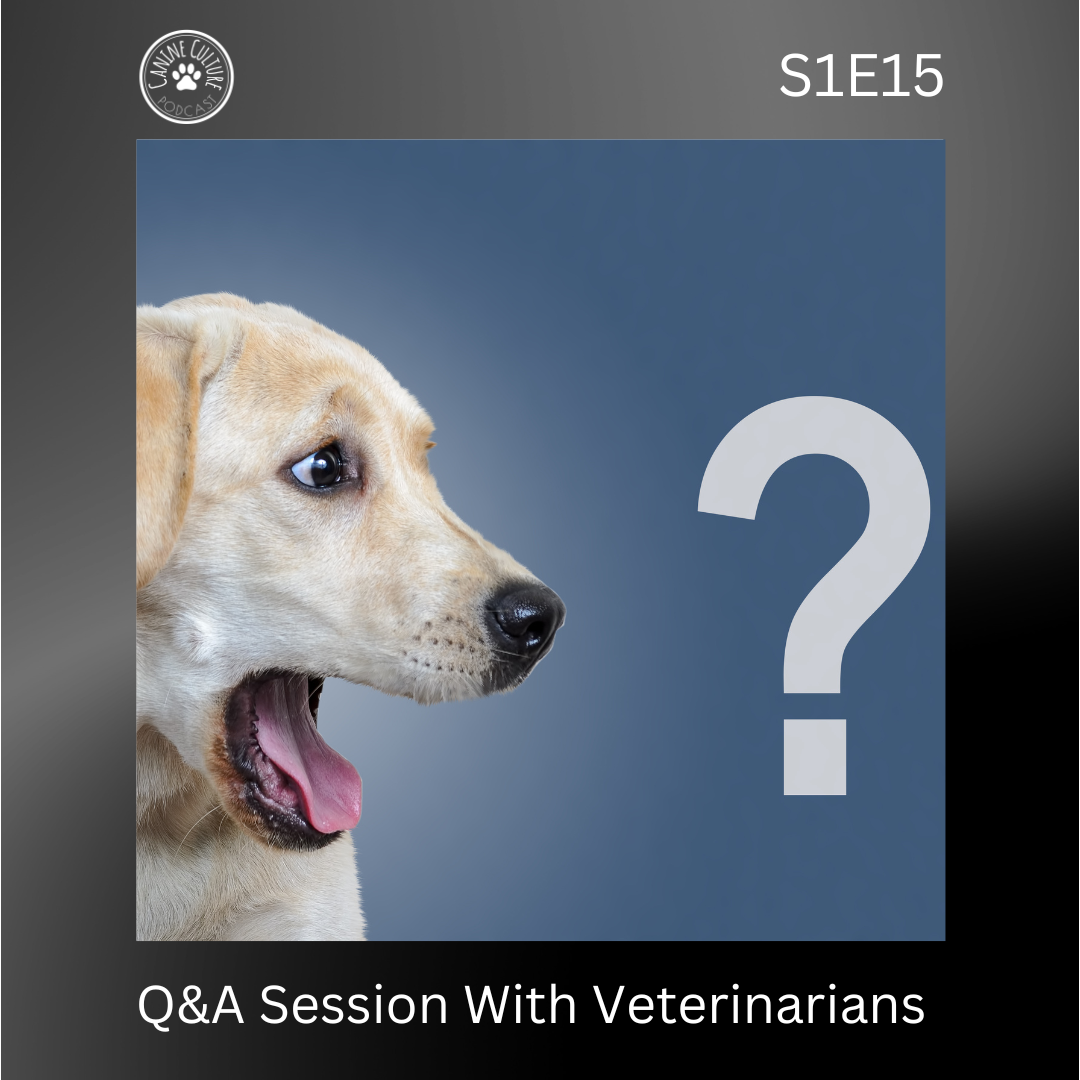 Q&amp;A Session With Veterinarians