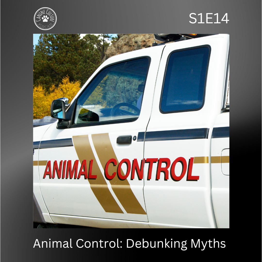 Animal Control: Debunking Myths