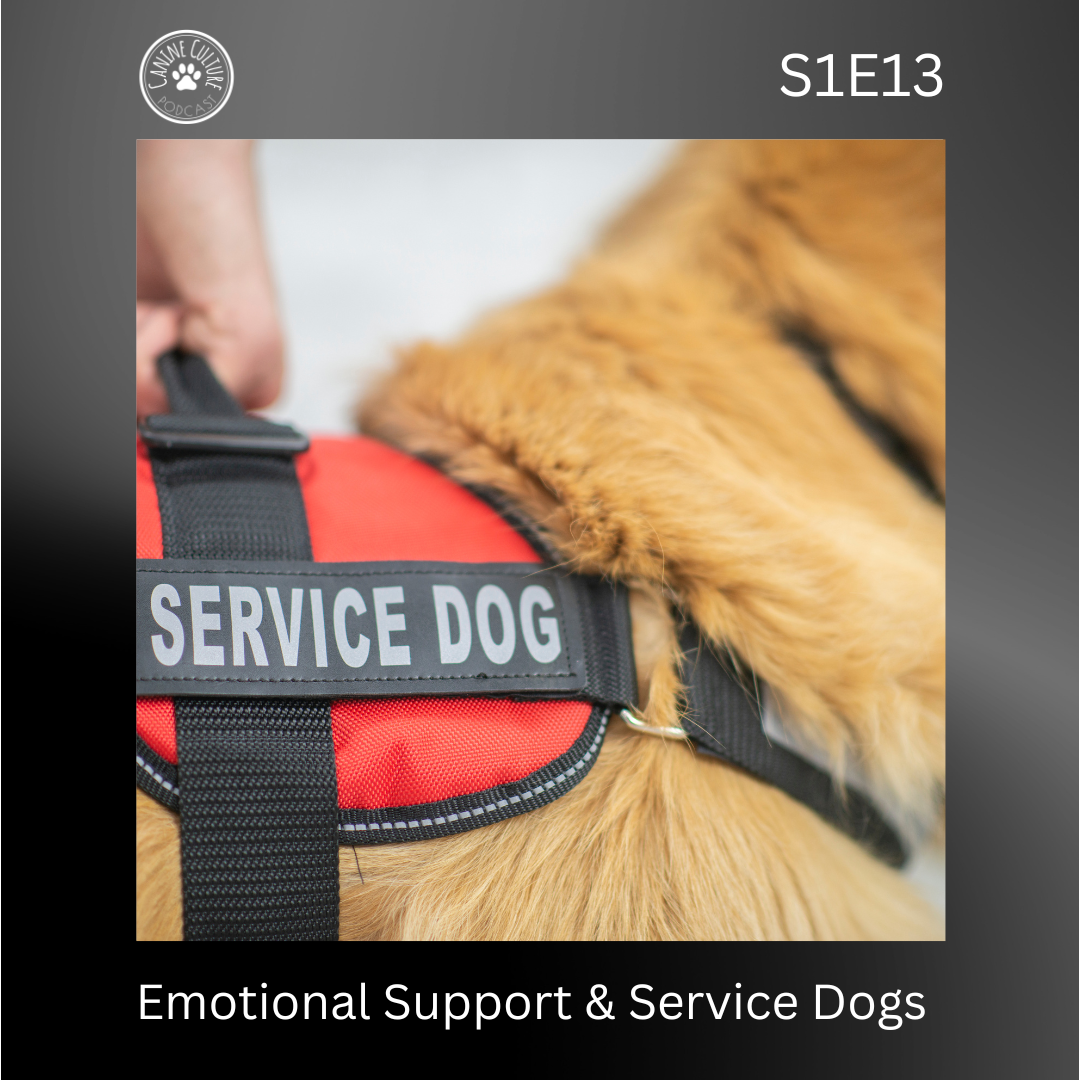 Emotional Support &amp; Service Dogs