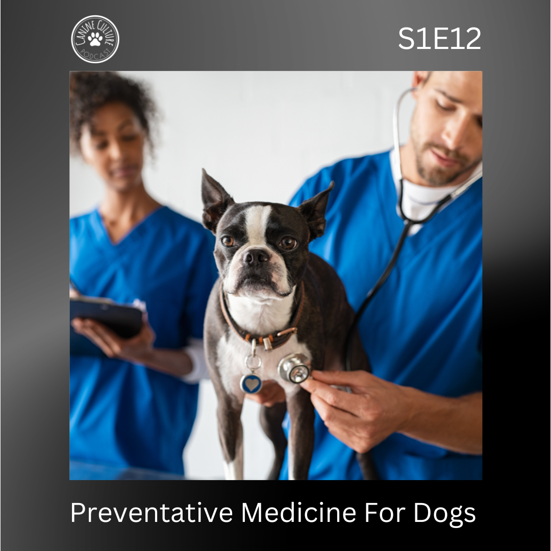 Preventative Medicine For Dogs