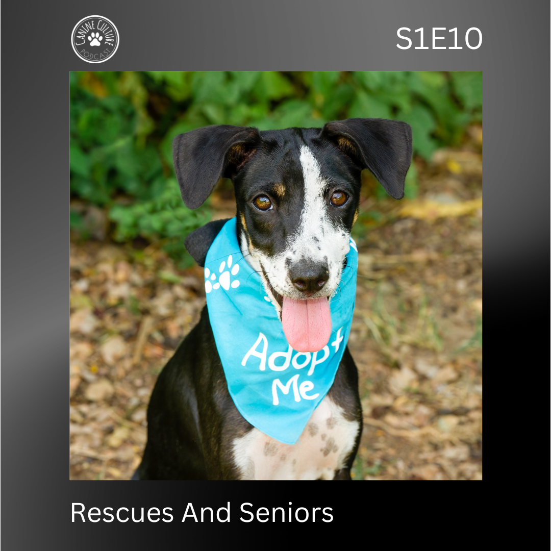 Rescues And Seniors