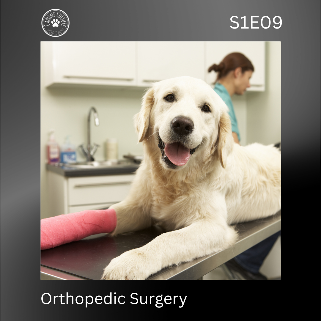 Orthopedic Surgery