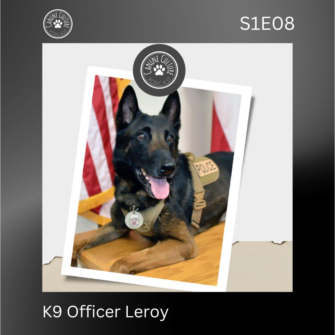 K9 Officer Leroy