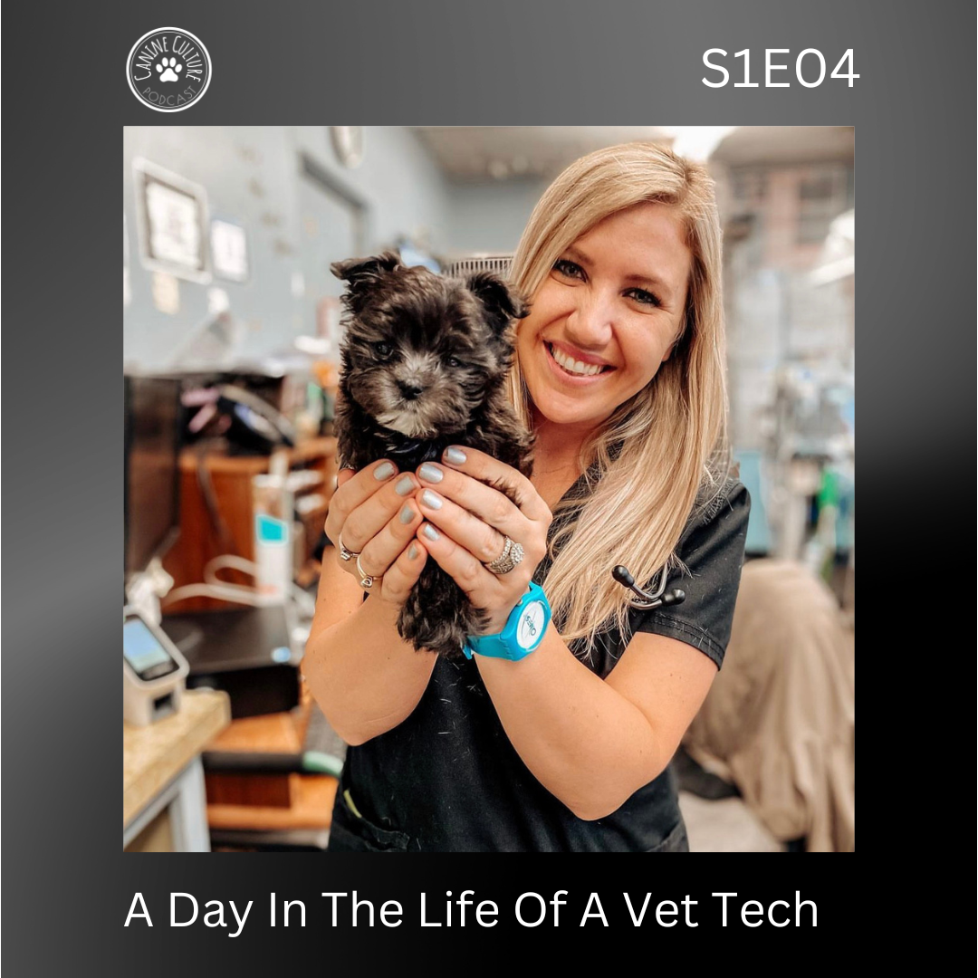 A Day In The Life Of A Vet Tech