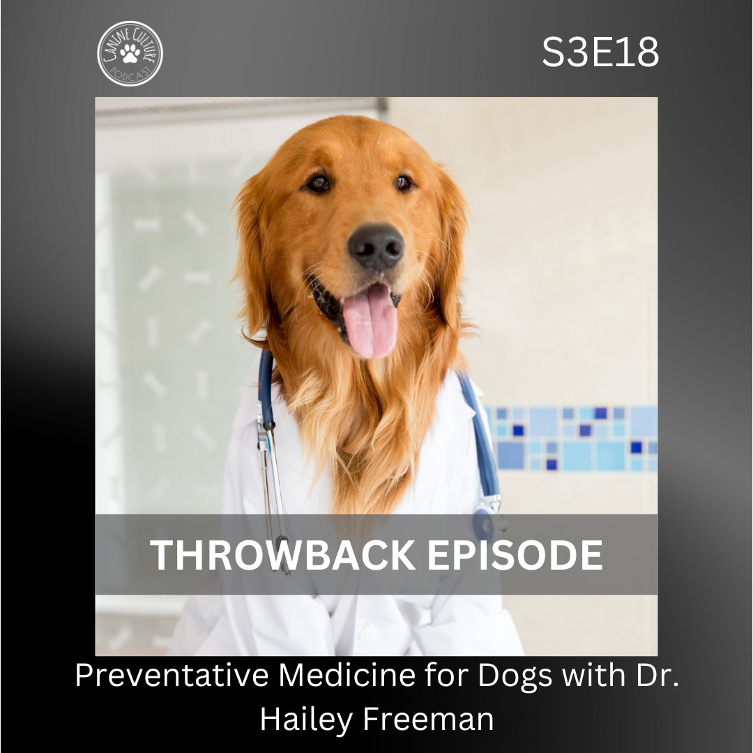 A golden retriever dog dressed as a veterinarian wearing a lab coat and stethoscope. The image appears to be a promotional cover for a podcast episode titled "Throwback Episode" about preventive medicine for dogs with Dr. Hailey Freeman.
