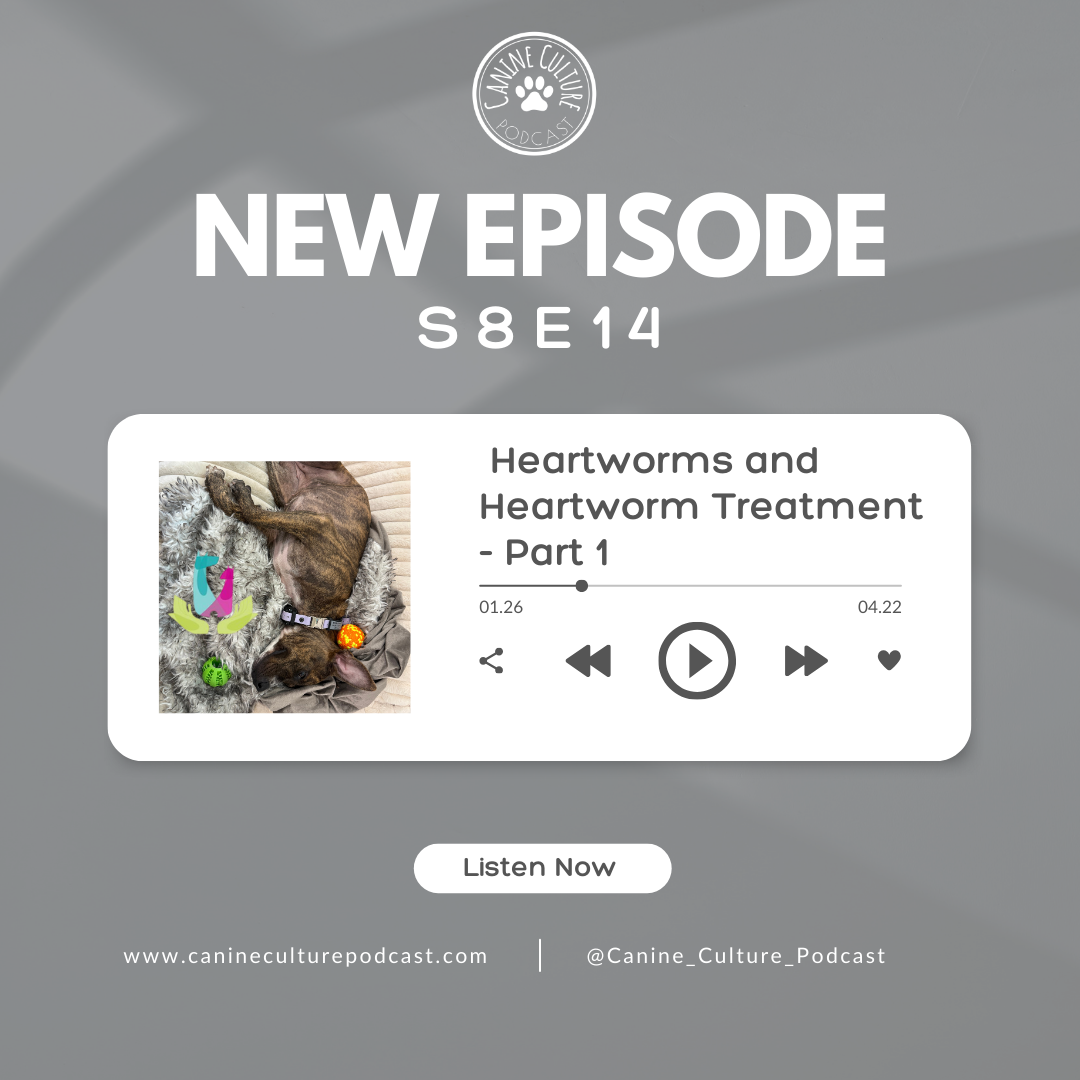 Heartworms and Heartworm Treatment - Part 1 — Canine Culture Podcast