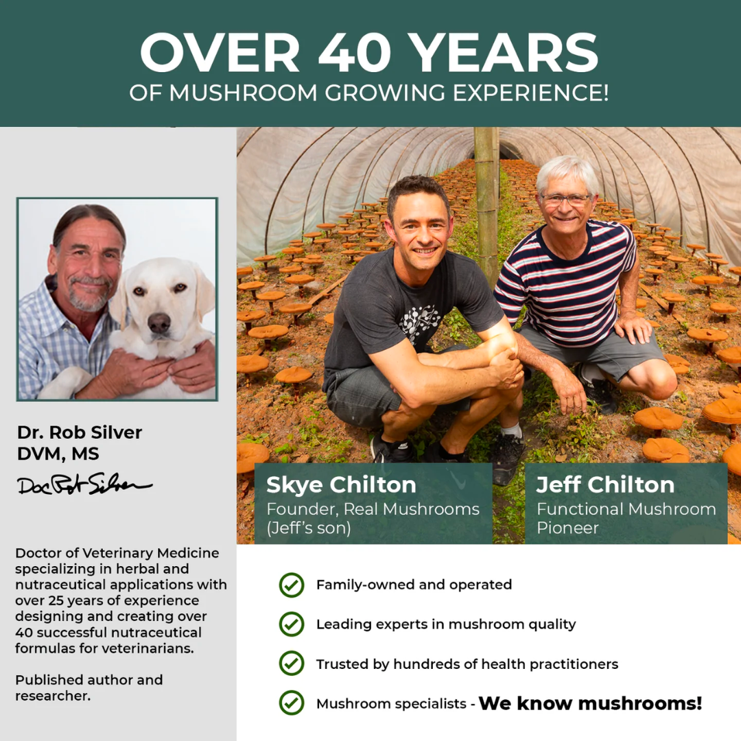 Real Mushrooms for Pets Information Image - Dr. Rob Silver DVM, MS bio. Skye Chilton and Jeff Chilton pictured