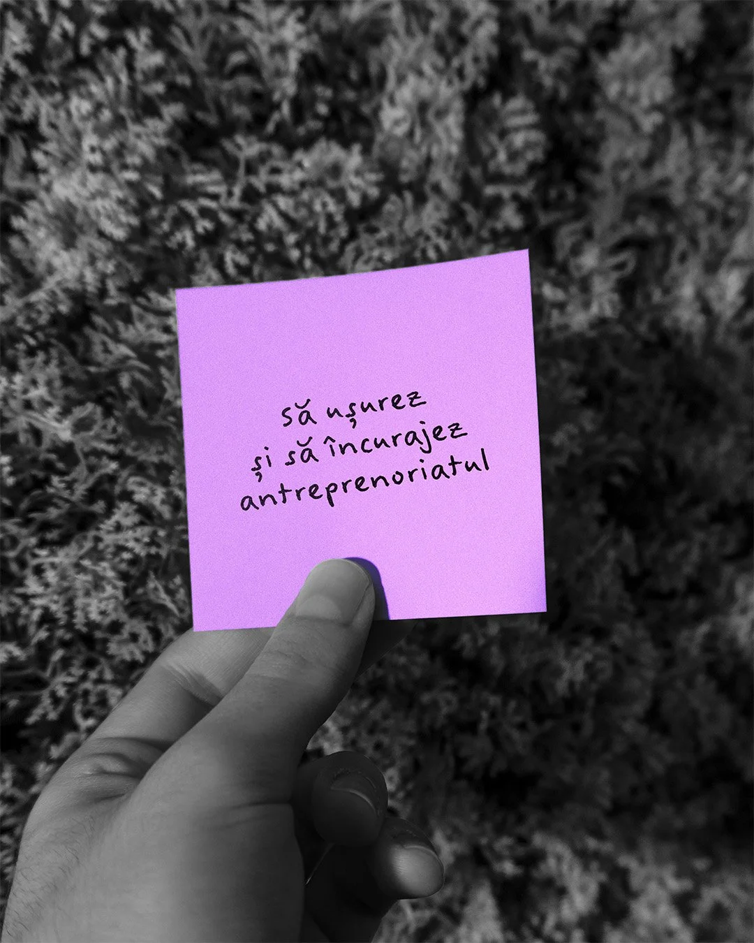 A hand holding a purple sticky note with handwritten text in Romanian, against a black and white background of bushes. The note says, 'Să ușurez și să încurajez antreprenoriatul.'