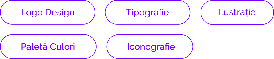Diagram with six black oval shapes outlined in purple, containing the following text: 'Logo Design', 'Tipografie', 'Ilustrație', 'Paletă Culoari', and 'Iconografie'.