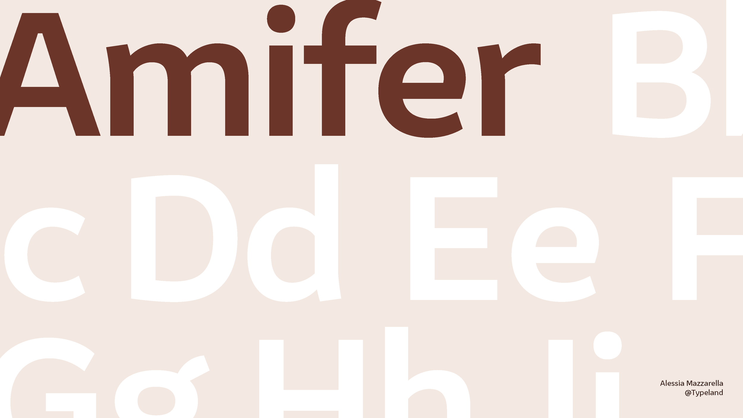 Large text spelling out "Amifer" in brown, with a light beige background featuring partially visible white letters of the alphabet and small text in the bottom right corner reading "Alessia Mazzarella @Typeland."