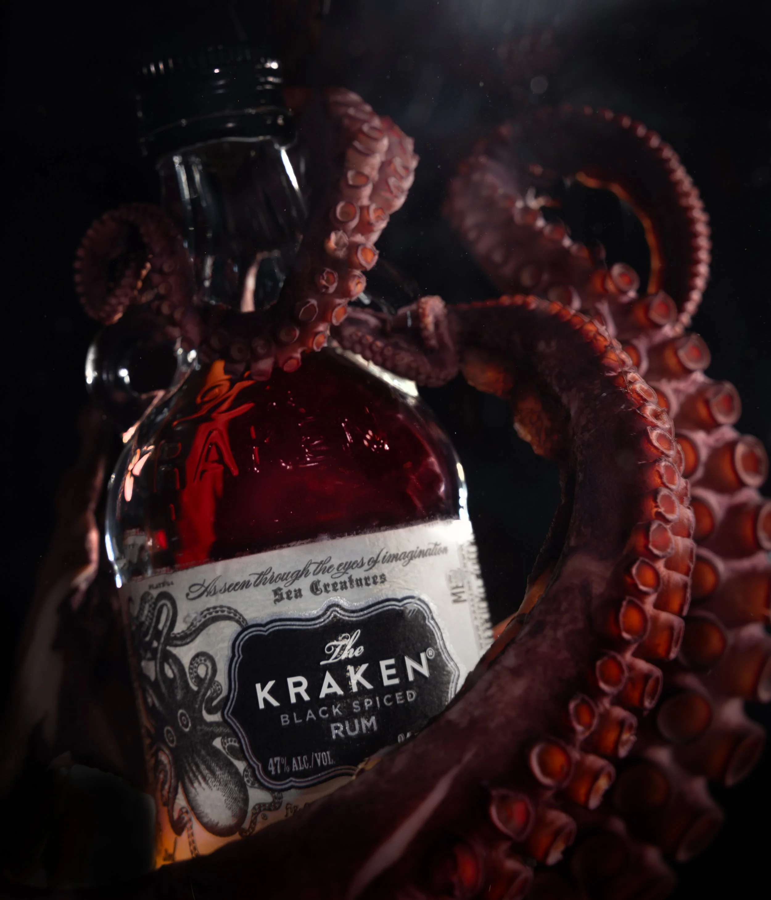 octopus-1.jpeg