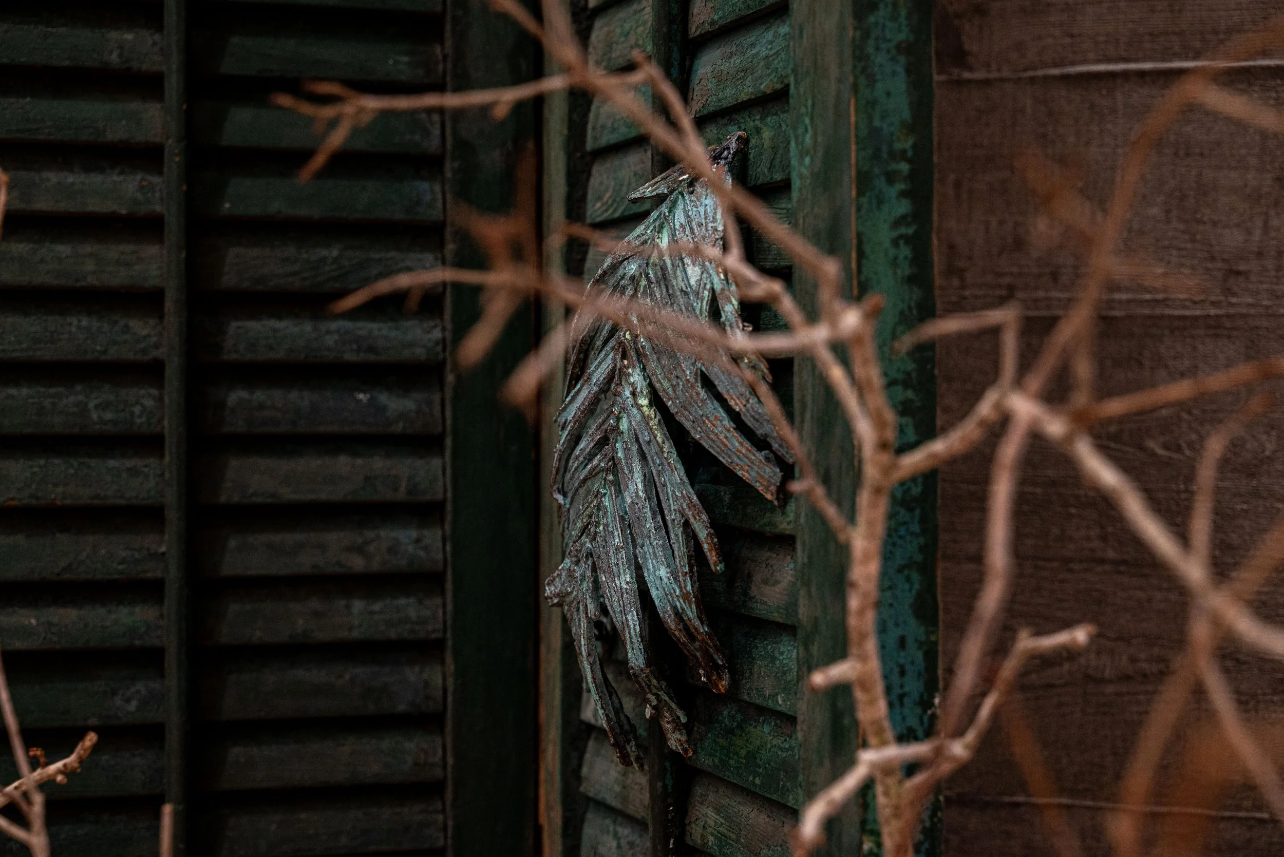 DSC_8952.jpg