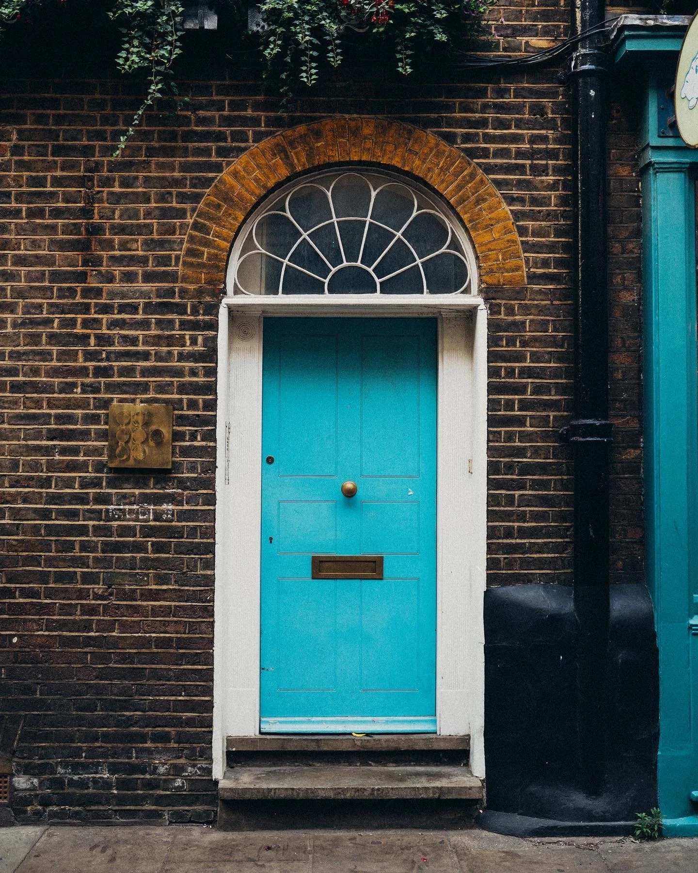 DC0A0B96-30E4-40E2-B147-47A403A28D3D.JPG