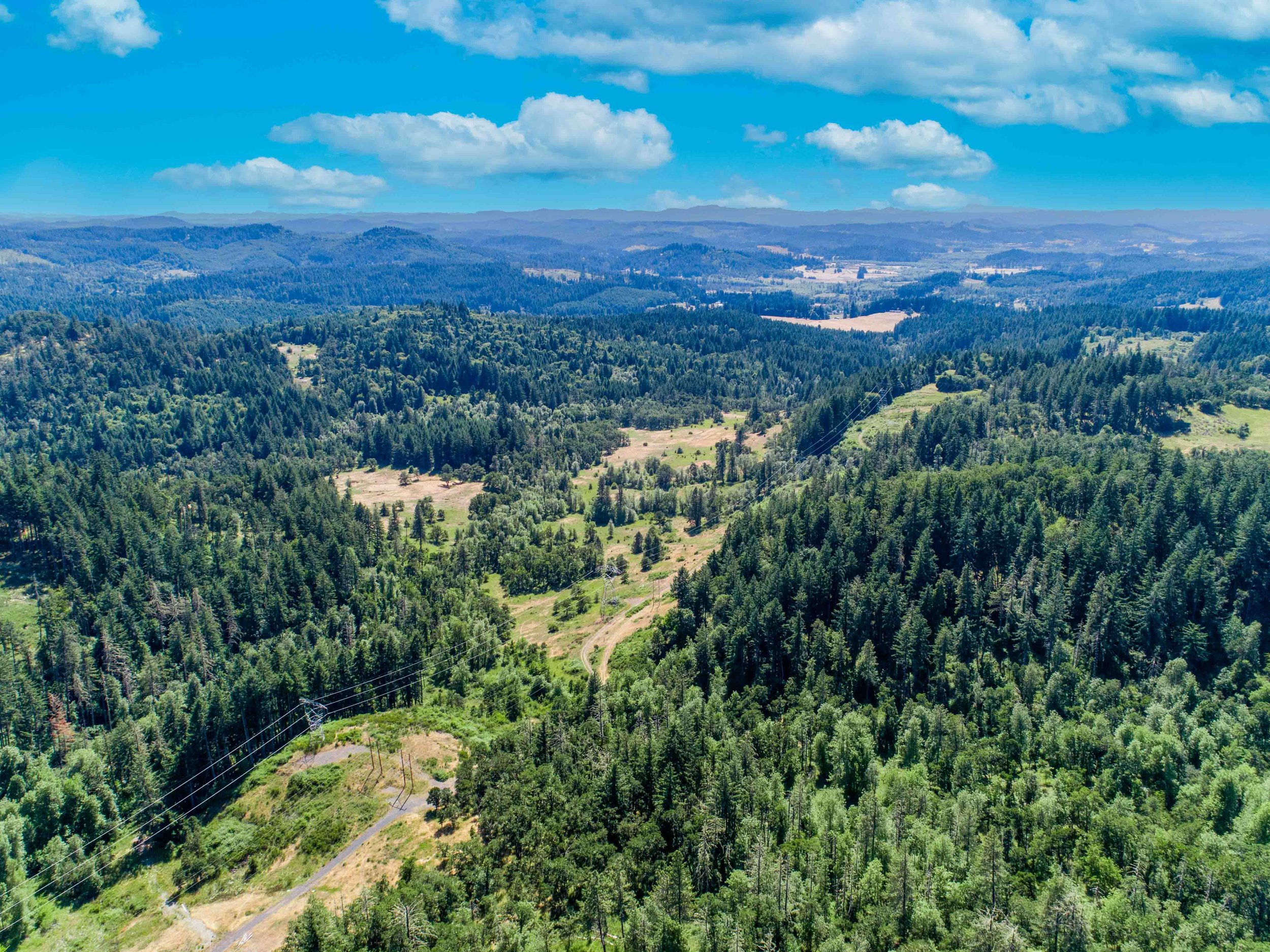 camas-manor-compressed-117.jpg