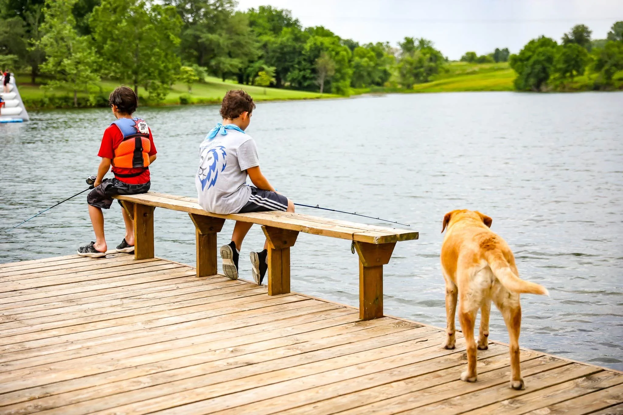 Discover Nature-Based Therapy for Children in Foster Care at Joy Meadows in Linwood, near Kansas City. Healing through animals, gardens, and activities.