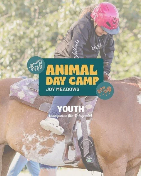 Animal Day Camp is back for middle &amp; high schoolers!

Joy Meadows invites youth (6th&ndash;11th grade, adopted or in foster care) for a half-day of enrichment, connection, and outdoor adventure.

🌿 Feed &amp; care for animals
🧠 Build confidence