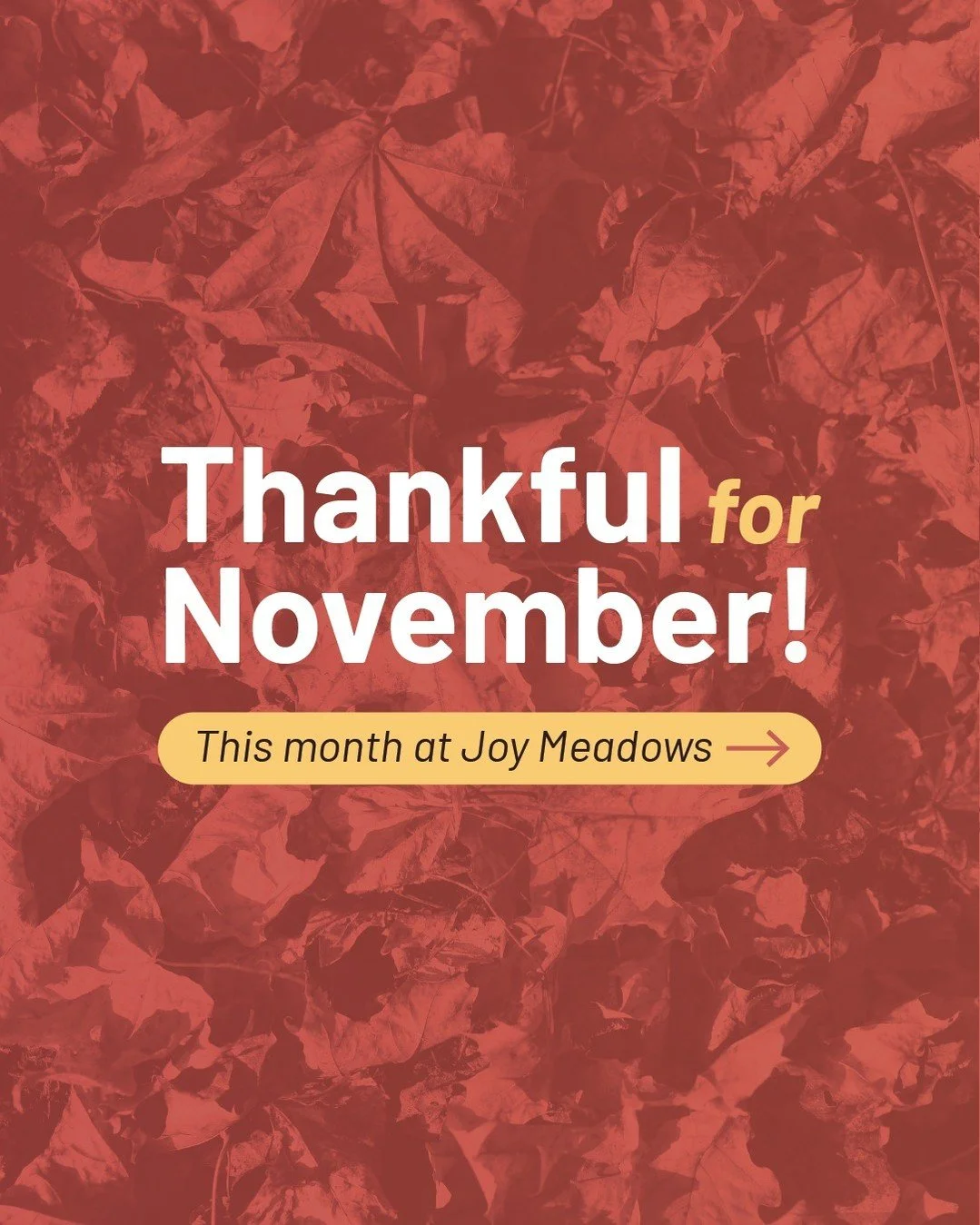 November at Joy Meadows

As the season of gratitude begins, we&rsquo;re gathering to create space for connection, support, and care&mdash;for every child and family impacted by foster care. 💛

🗓️ November 8 &mdash; Second Saturday
11:00 AM &ndash; 