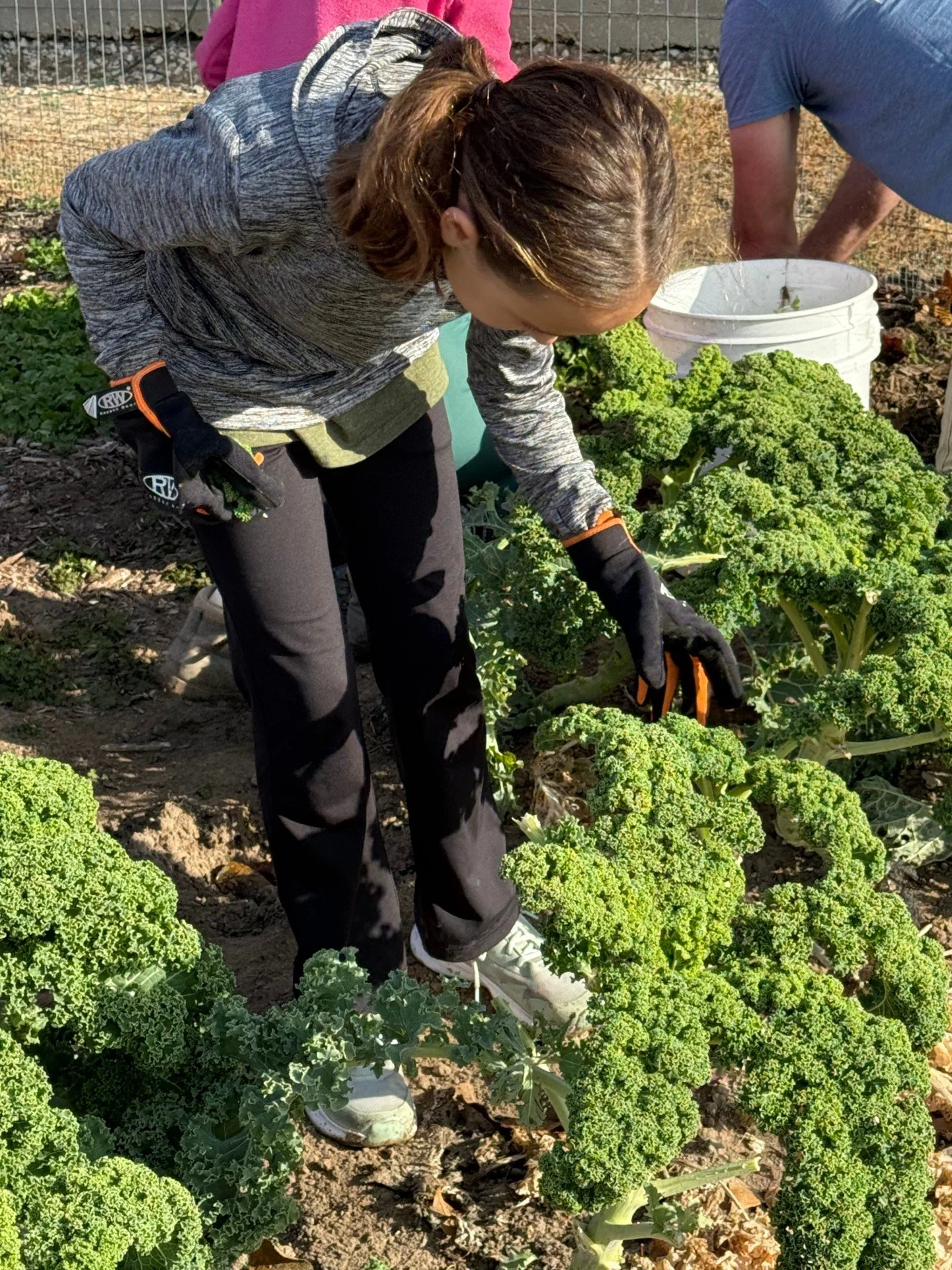 A small group from @redeemer_joco came out to clean up the garden and close it up for the season. We are in awe of the many groups that want to serve around the property, no matter how big or small the project. 

We are so thankful to all of the chur