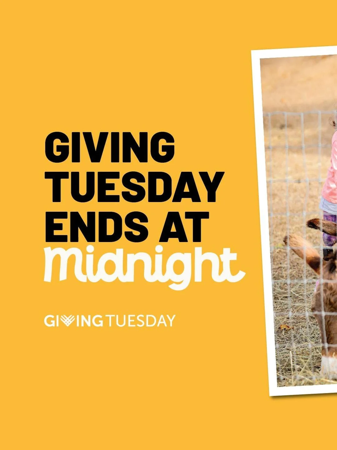 ⏰ GIVING TUESDAY ENDS AT MIDNIGHT 

You still have time double your gift to make a difference for children in foster care.

Here's what your gift provides TODAY:

$25 &rarr; 5 animal sessions that rebuild trust
 $50 &rarr; Clothing for a child enteri