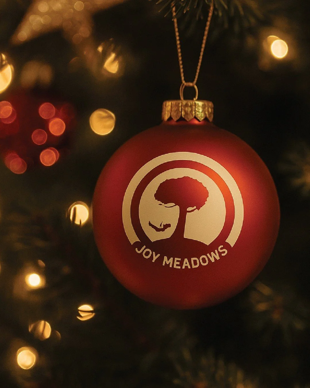 What if your Christmas gift this year was doubled?

Through December 31, that's exactly what happens when you give to Joy Meadows.

This Christmas season, while you're celebrating with family, children in foster care need:

🎁 Therapy sessions that p