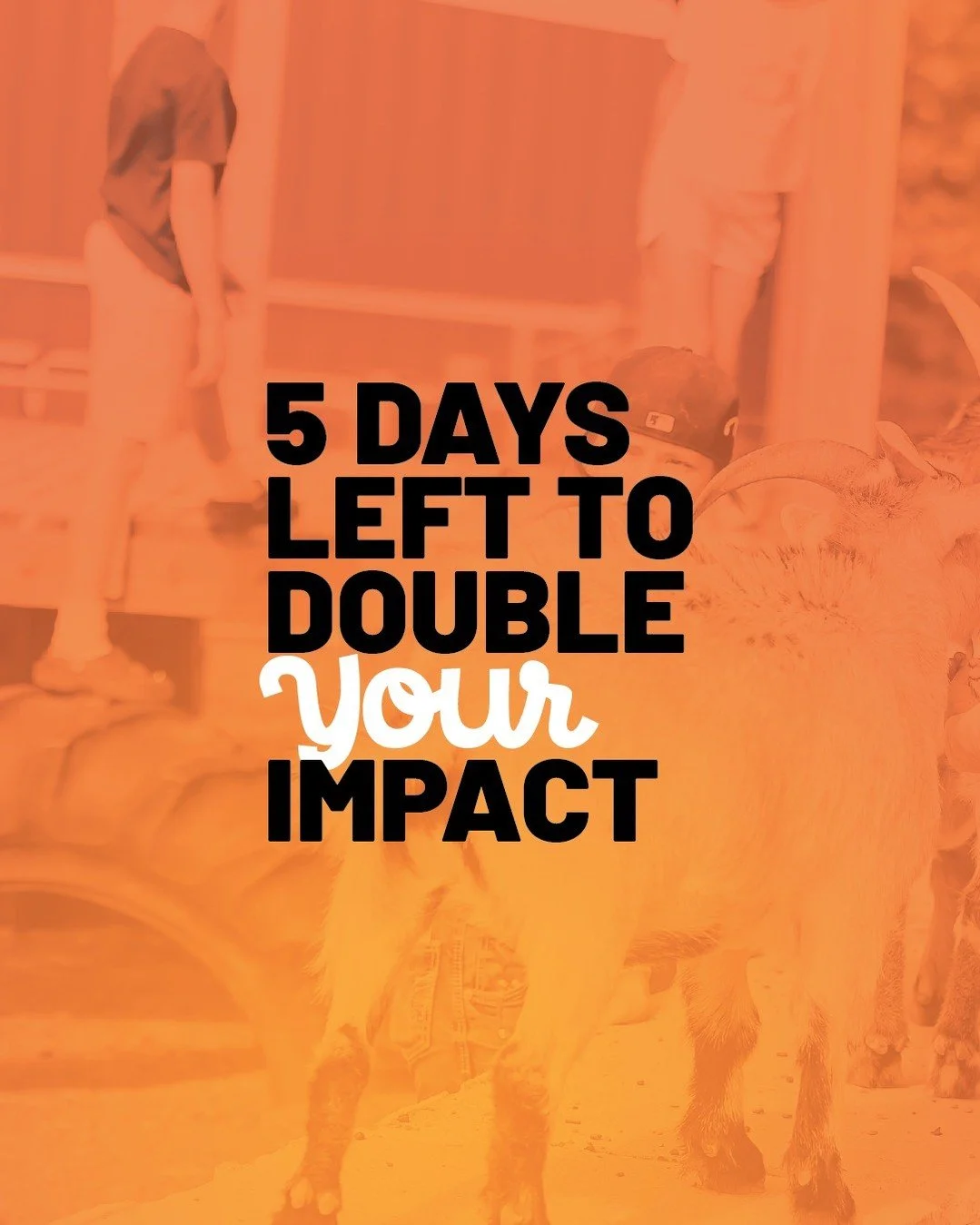 ⚠️ 5 DAYS LEFT TO DOUBLE YOUR IMPACT ⚠️

The matching gift that doubles every dollar expires December 31.

After that, your gift won't go twice as far.
After that, your 2025 tax-deductible window closes.
After that, this extraordinary opportunity is 