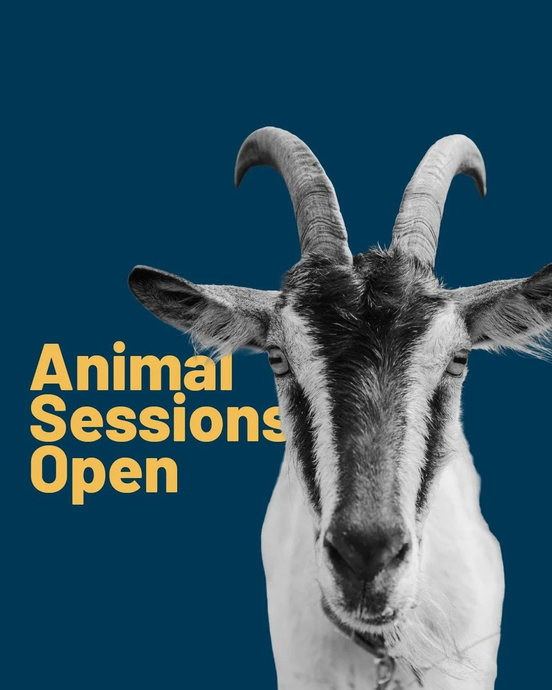 Things are gearing up at Joy Meadows this April! Kids impacted by foster care, volunteers, community champions, prayer warriors&mdash;there is a touchpoint for everyone this month! 

Join us: www.joymeadows.org/events #fostercare  #fosterparents