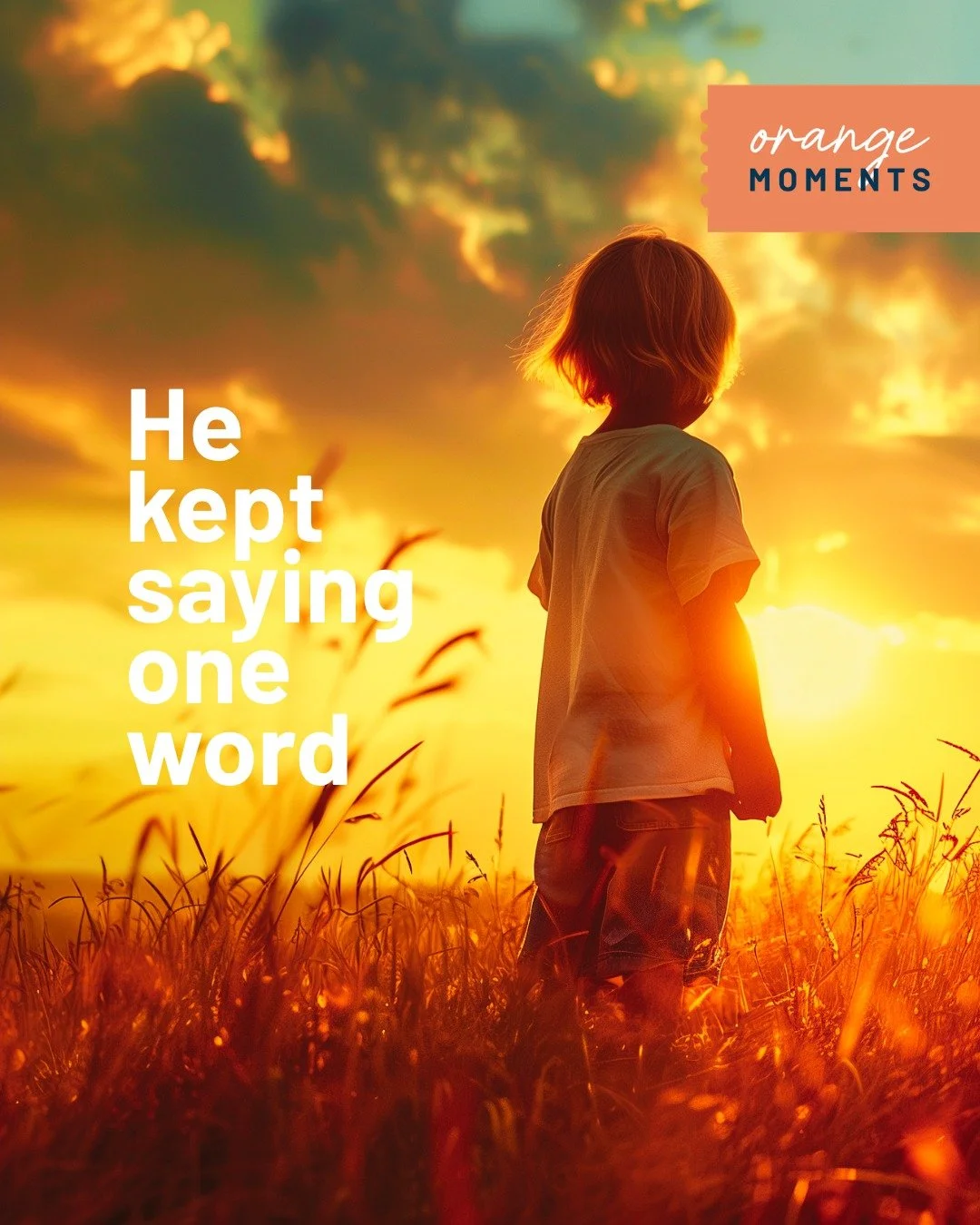 It started with a voice, louder than usual. Repeating the same word.

"Orange. Orange."

His foster dad and a volunteer moved quickly, expecting something was wrong.

But when they reached him, he was standing still, looking up.

The sky st