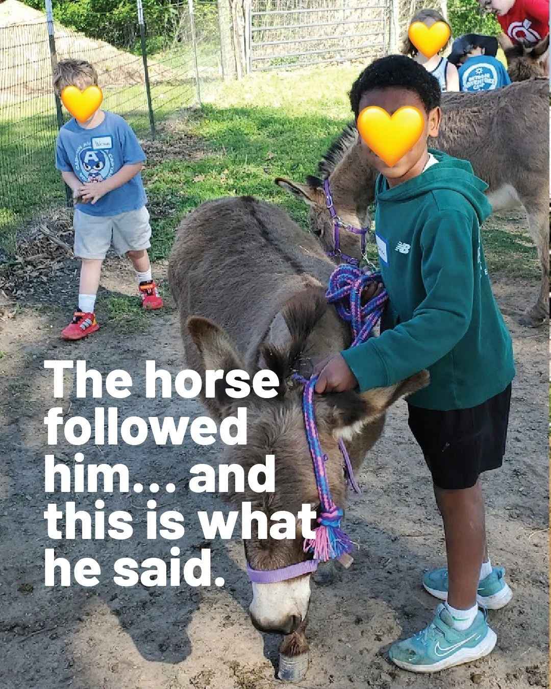 12 kiddos joined us at Joy Meadows for Animal Day Camp last week. They got to care for horses, lead donkeys, learn about the Bible, and even ride a horse!

"As one of the kids finished their activity, the horse started to follow them! I asked th