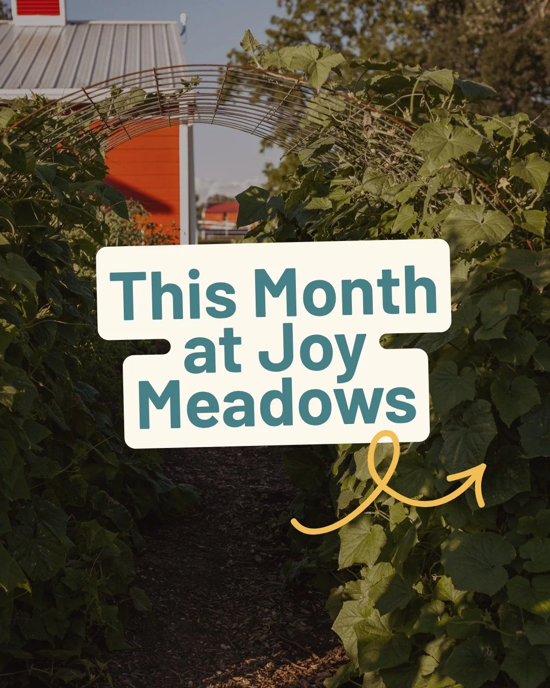Ever wonder what actually happens at Joy Meadows in a given month?

This is September.

Swipe through to see it for yourself, then come find your place in it.

&rarr; joymeadows.org/events