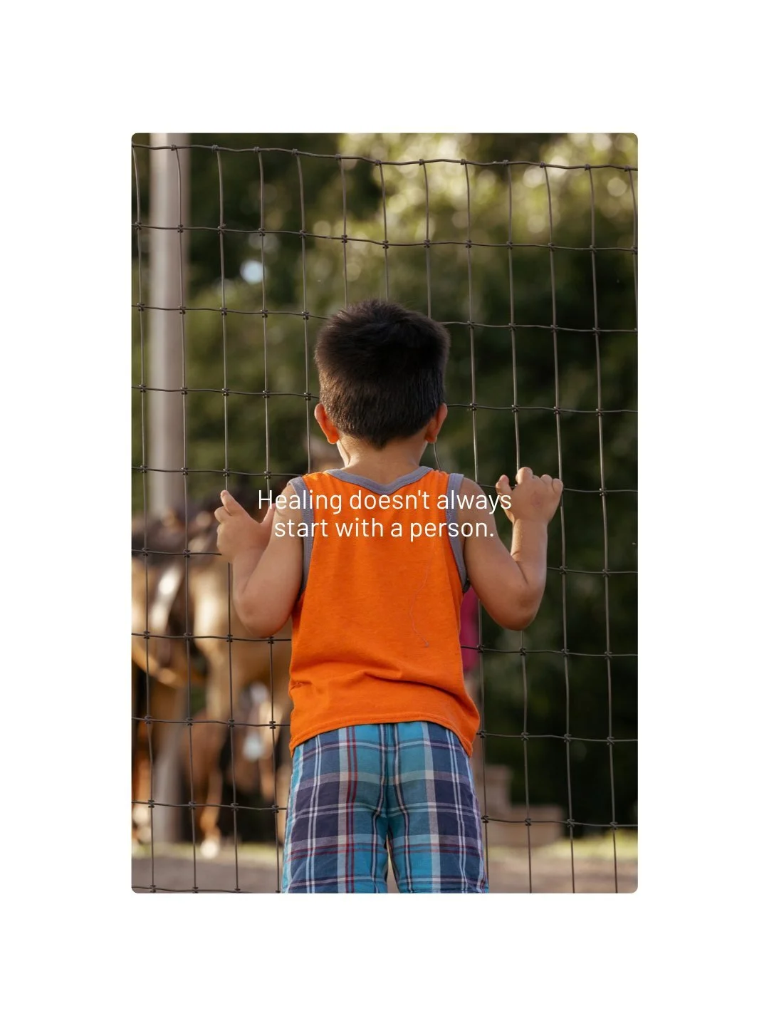 The kids don't just visit the animals. They help take care of them.

There's something steadying about a goat that needs feeding whether or not you're having a good day. A child who's had very little control gets to be the dependable one for a change