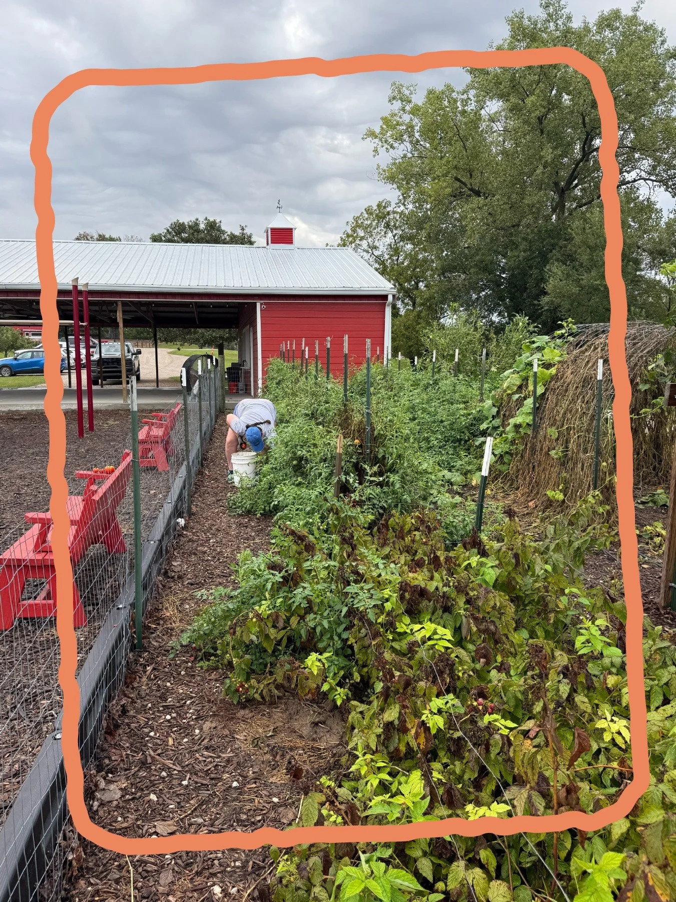Thank you, TFI, for giving your time and your hands to Joy Meadows.

The same case workers and leaders who support families through the foster care system came out to care for a place some of those families come to for support.

That's what circles o