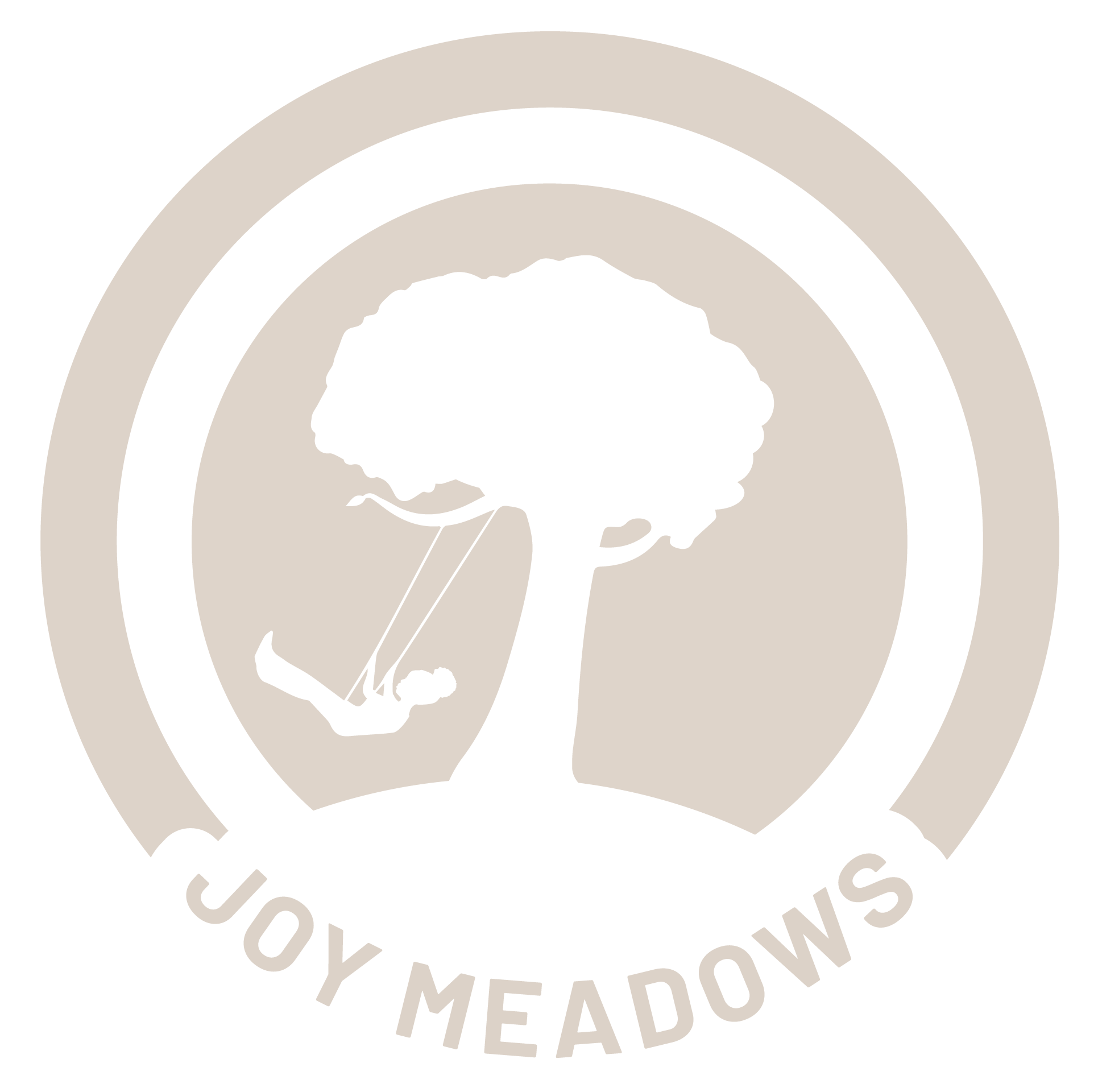 Joy Meadows Foster Care Community tan logo