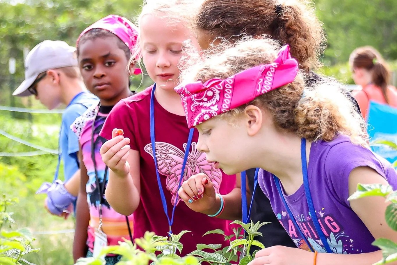 Children in foster care at Joy Meadows Outdoor Adventure Camp exploring nature near Kansas City, Kansas