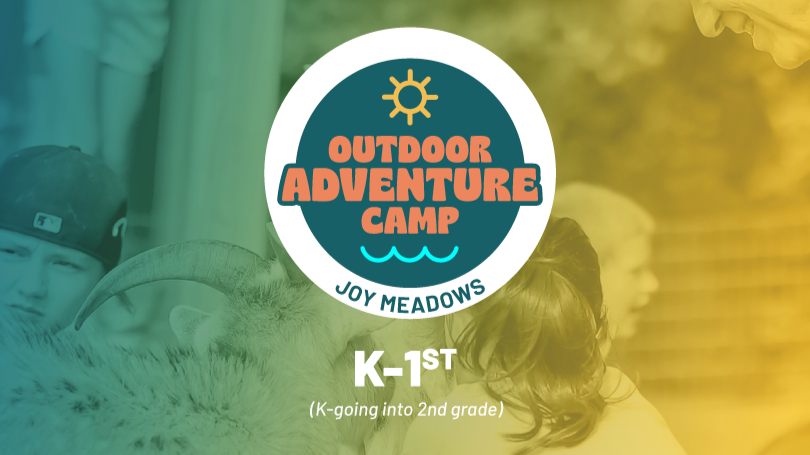 Young children in foster care and adopted children near Kansas City enjoying outdoor play during K–1 Outdoor Adventure Camp at Joy Meadows