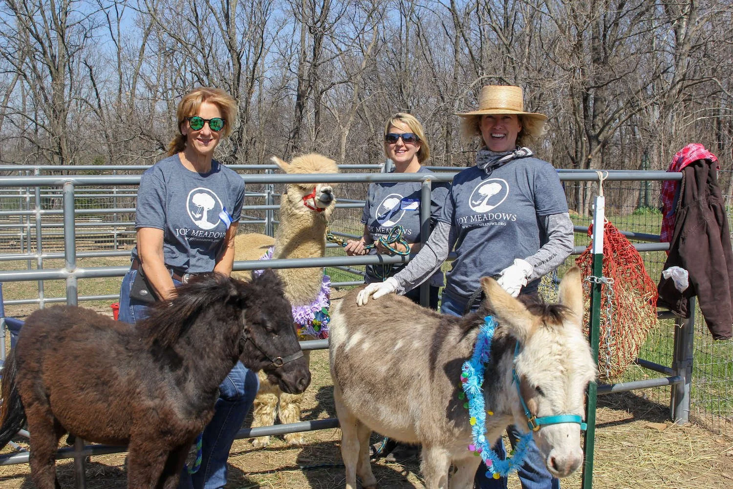 Volunteer Groups • Joy Meadows Foster Care Community Kansas City