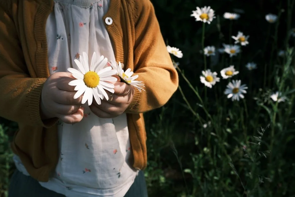 Child holding white daisies in a field, a symbol of hope and faith in the midst of hardship