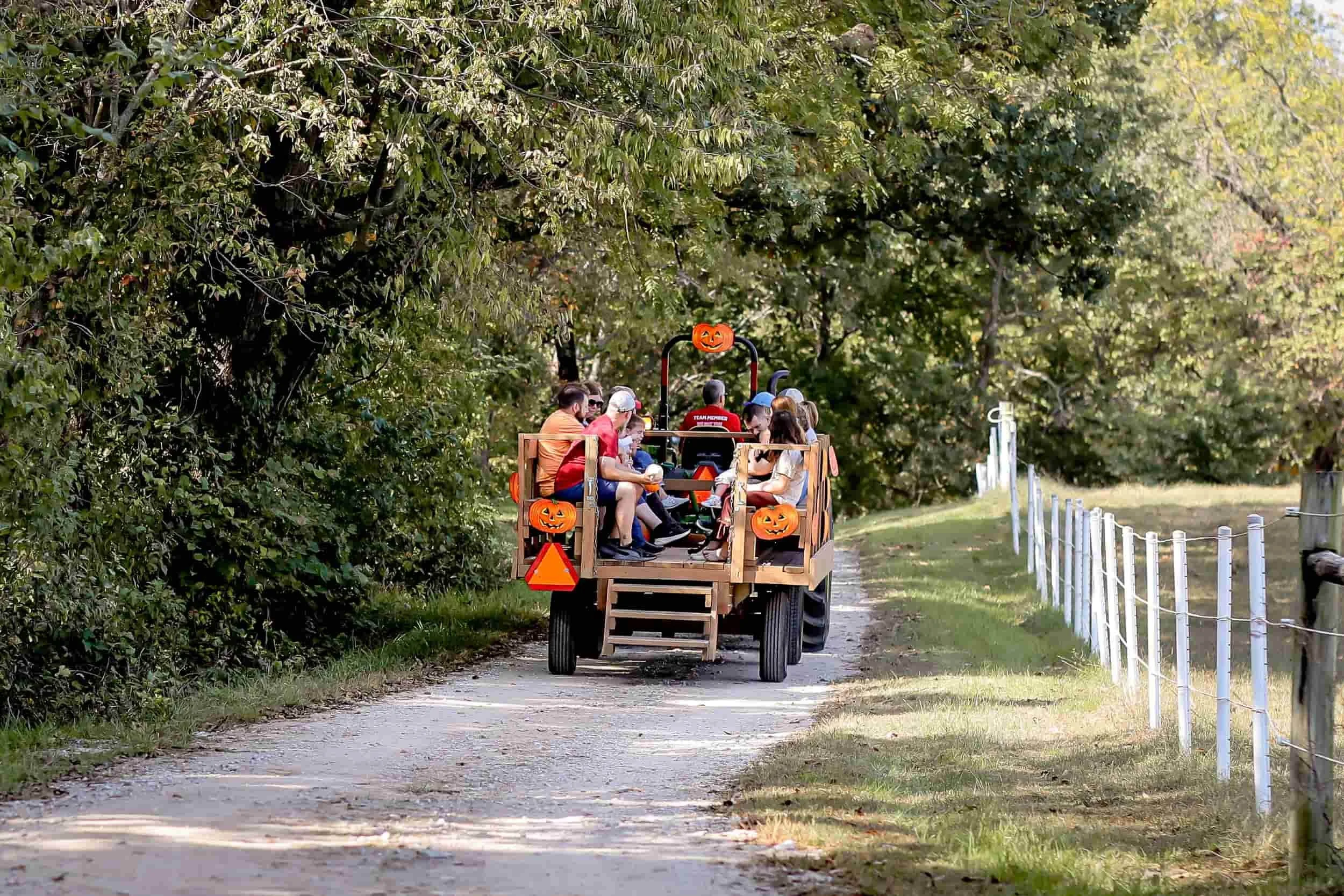 Children in foster care and families gardening at Joy Meadows therapeutic horticulture program in Linwood, Kansas