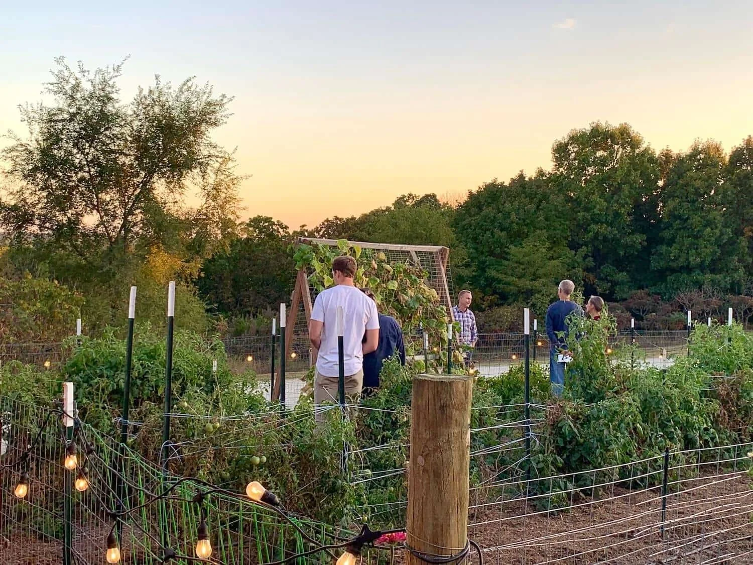 Volunteers exploring the garden at Joy Meadows foster care community in Kansas City