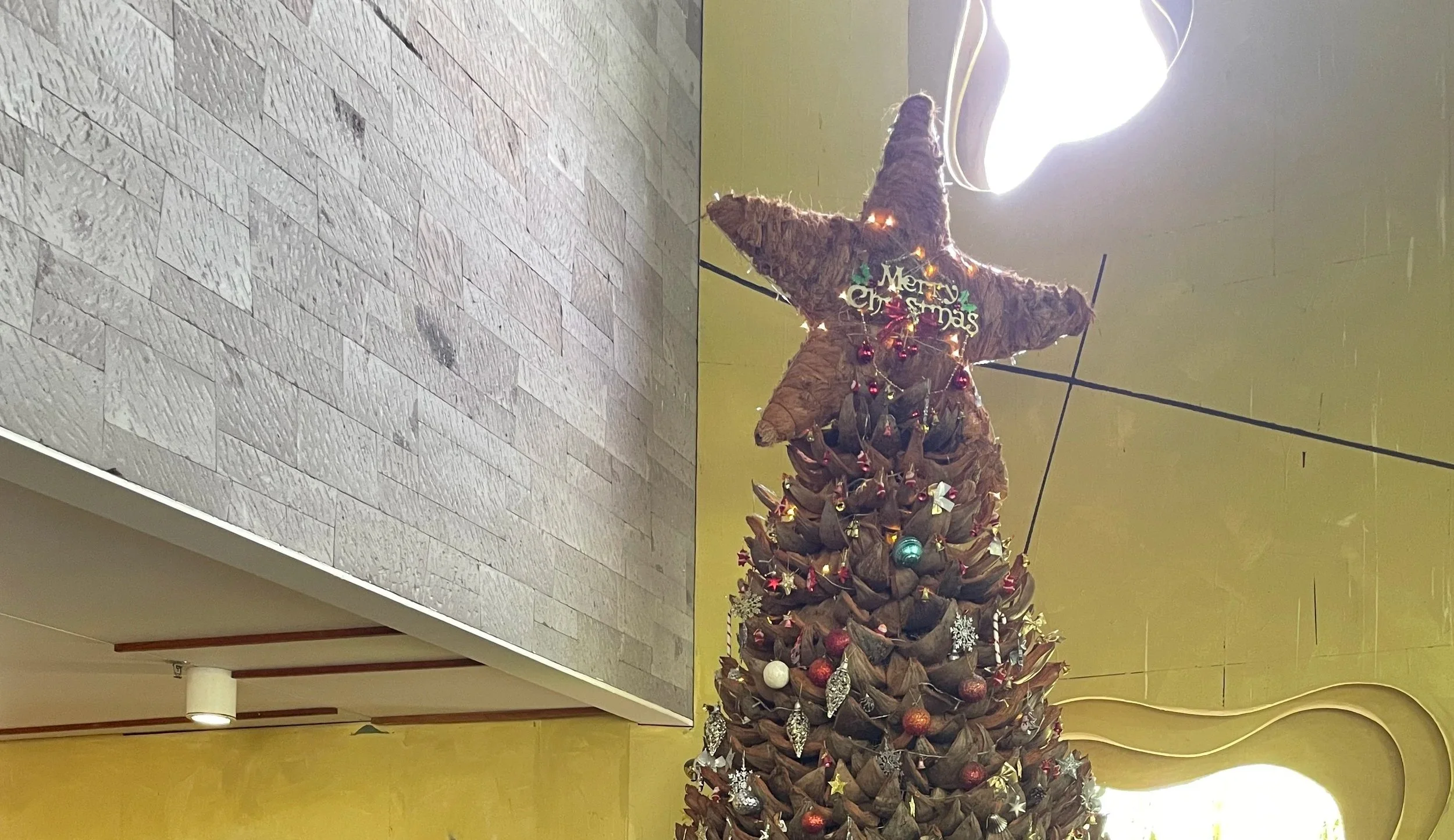 Perimenopause Is Not My Friend: Episode 5