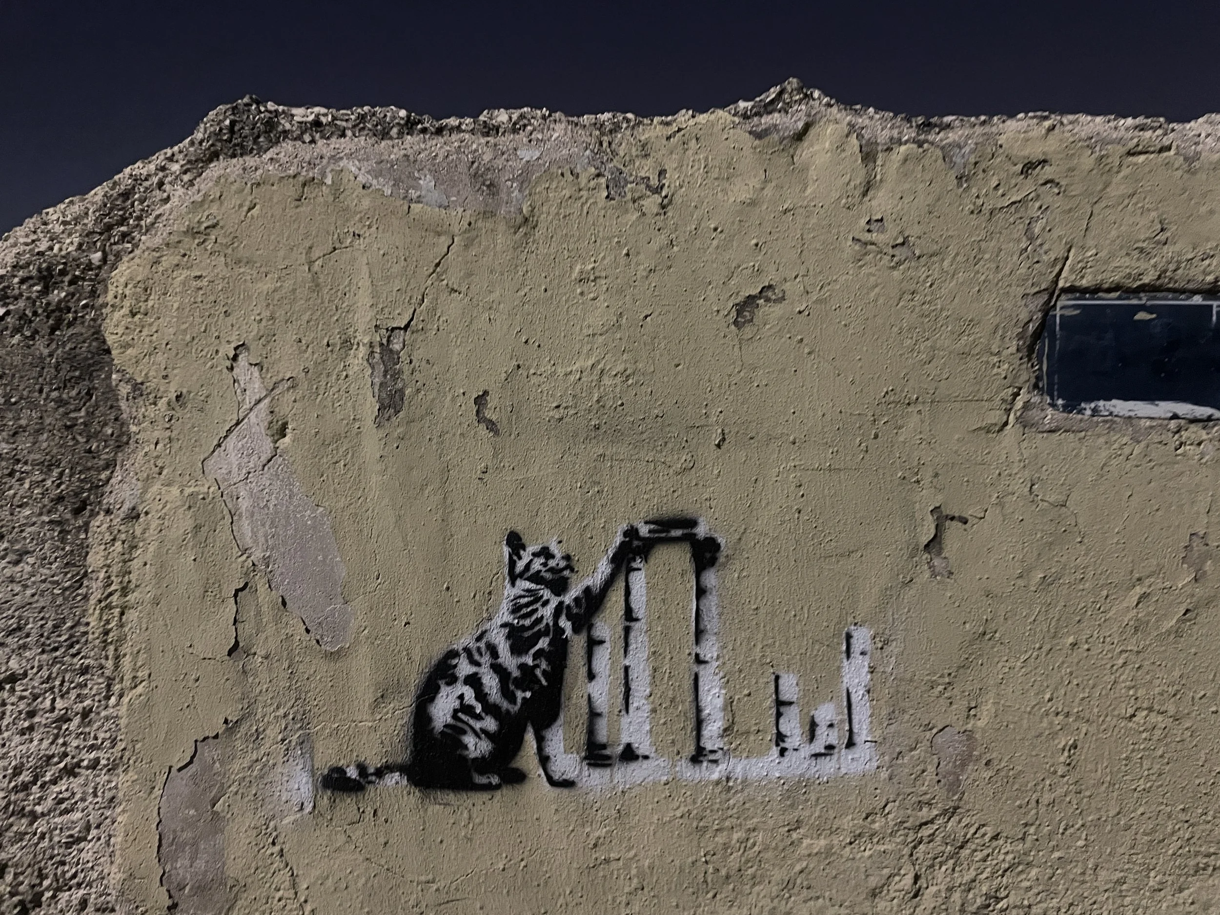 I Should Have Cancelled Airbnb Long Ago