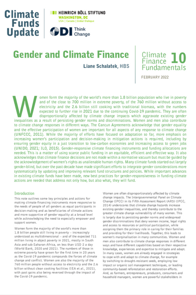 Heinrich Böll Stiftung: Gender and Climate Finance — AlphaMundi Foundation