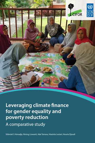 CIFOR and UNDP: Leveraging climate finance for gender equality and ...