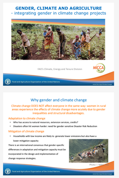 FAO: Gender, Climate and Agriculture - integrating gender in climate ...