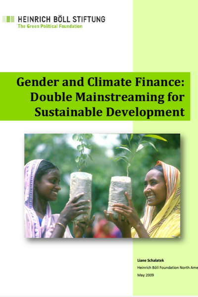 Heinrich Boll Stiftung: Gender and Climate Finance: Double ...